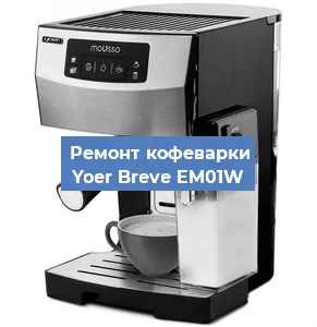Чистка кофемашины Yoer Breve EM01W от кофейных масел в Нижнем Новгороде